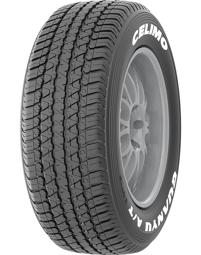 CAT 10 全路面SUV輪胎